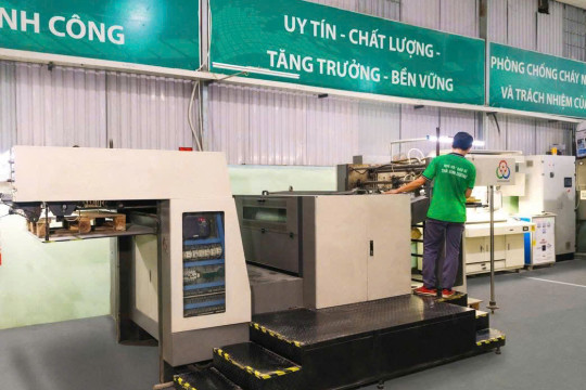 Vì sao Pad Group là lựa chọn hàng đầu cho đơn hàng bao bì số lượng lớn?